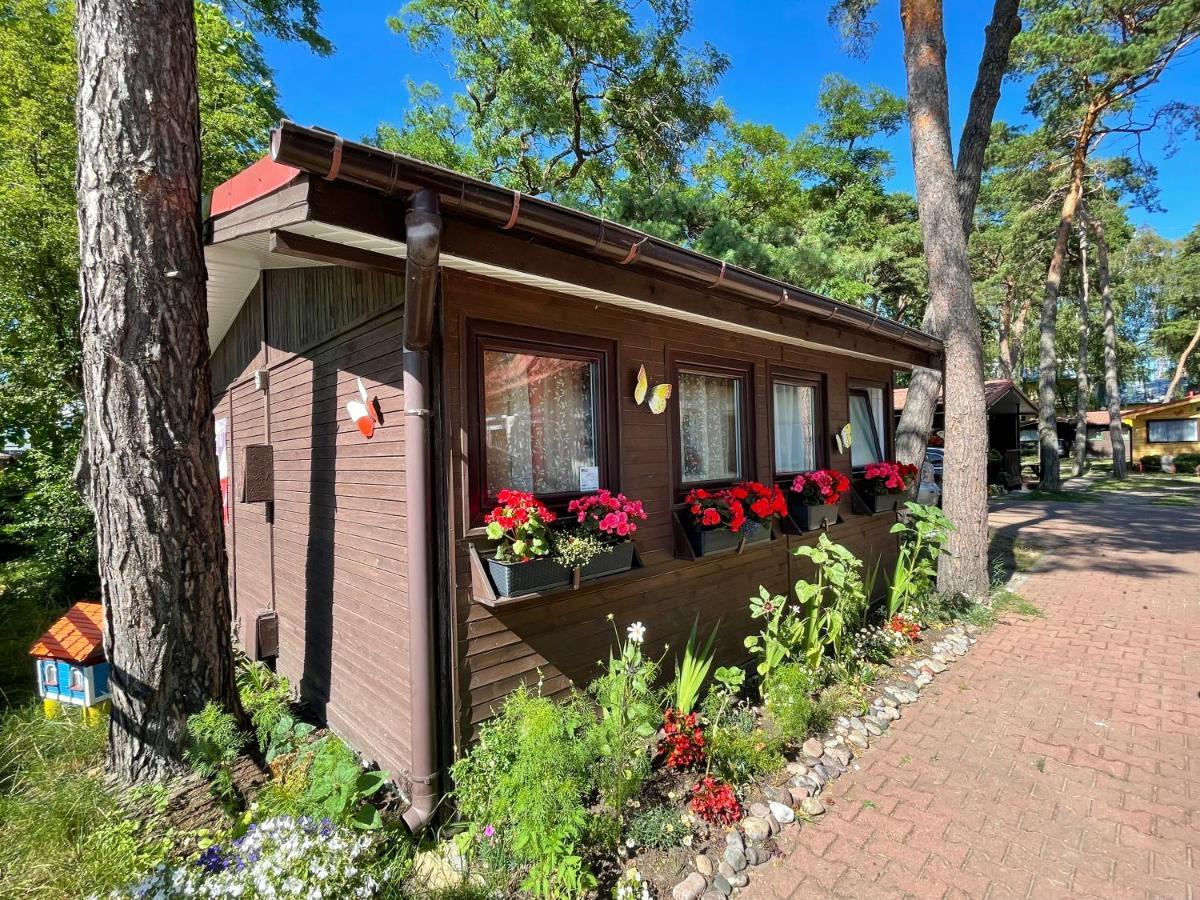 Osrodek Polaris Villa Дзивновек Екстериор снимка